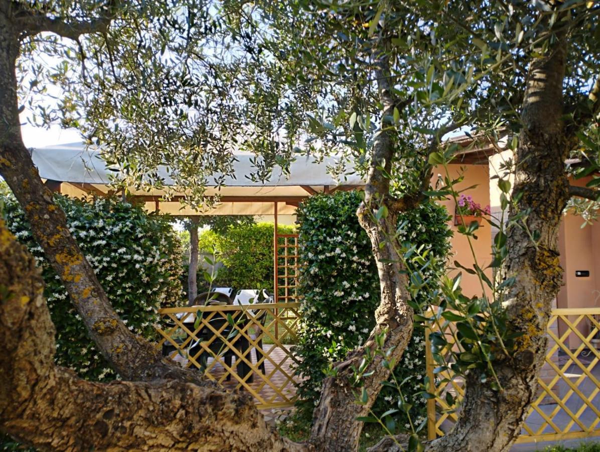 Melody House - Dependance Villa Castel del Bosco  Kültér fotó