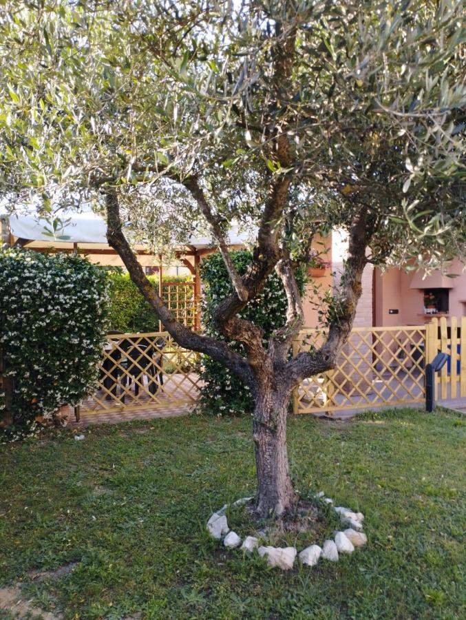Melody House - Dependance Villa Castel del Bosco  Kültér fotó